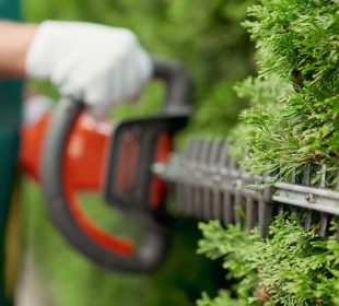 Gardener trimming green hedge with an orange electric hedge trimmer.