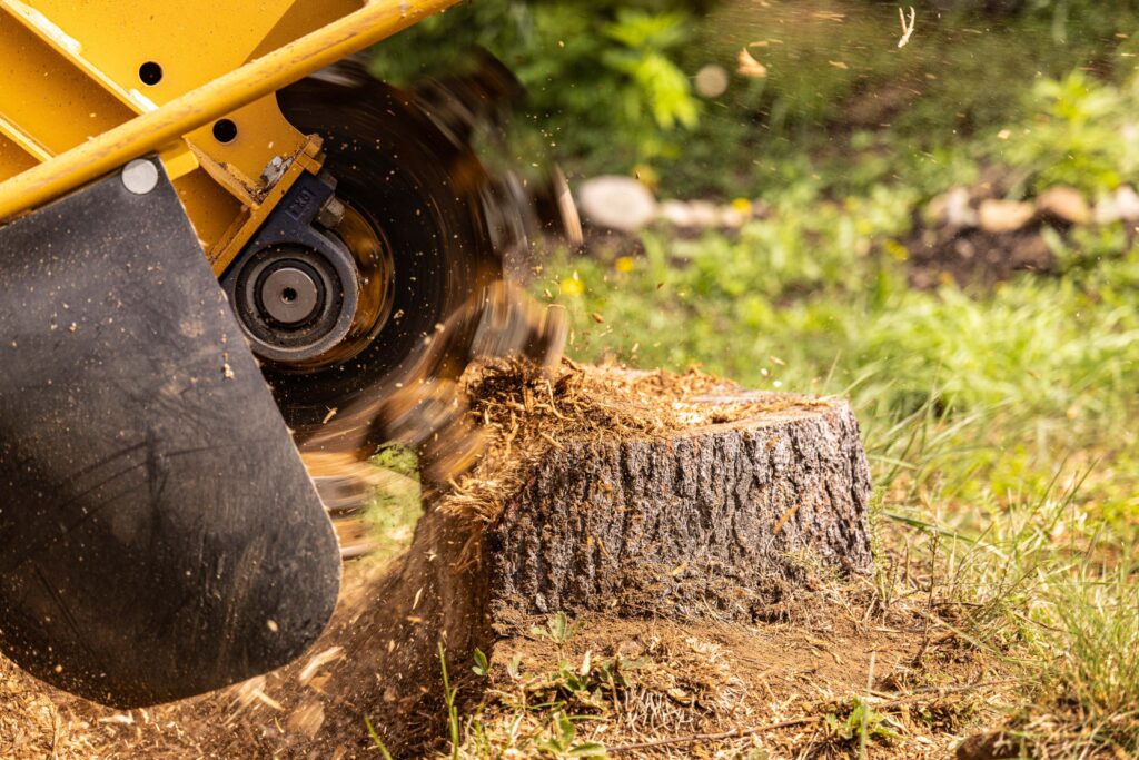 Close-up of a stump grinder machine grinding down a tree stump in a grassy area