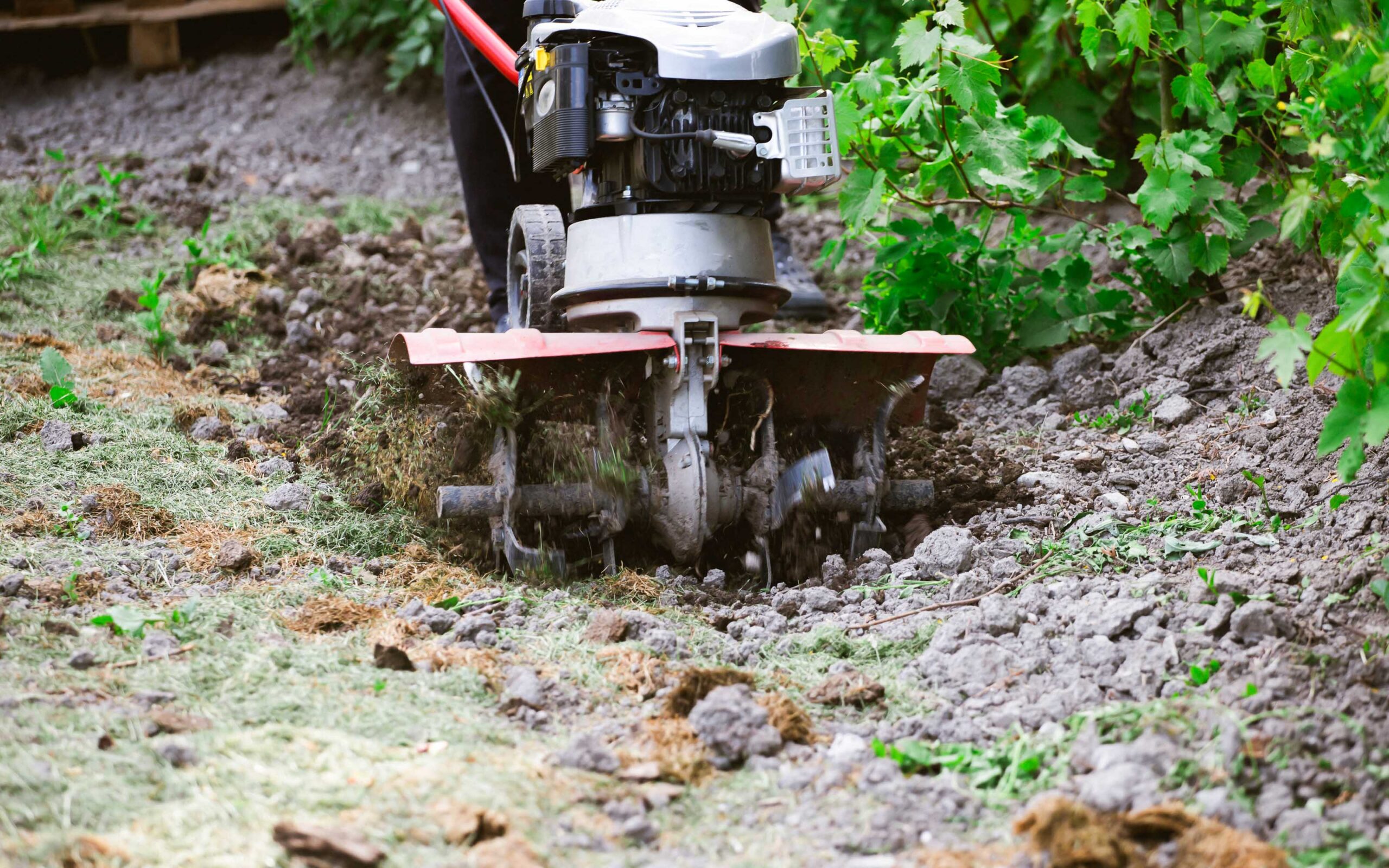 Farmer man plows the land with a cultivator preparing the soil for sowing.
